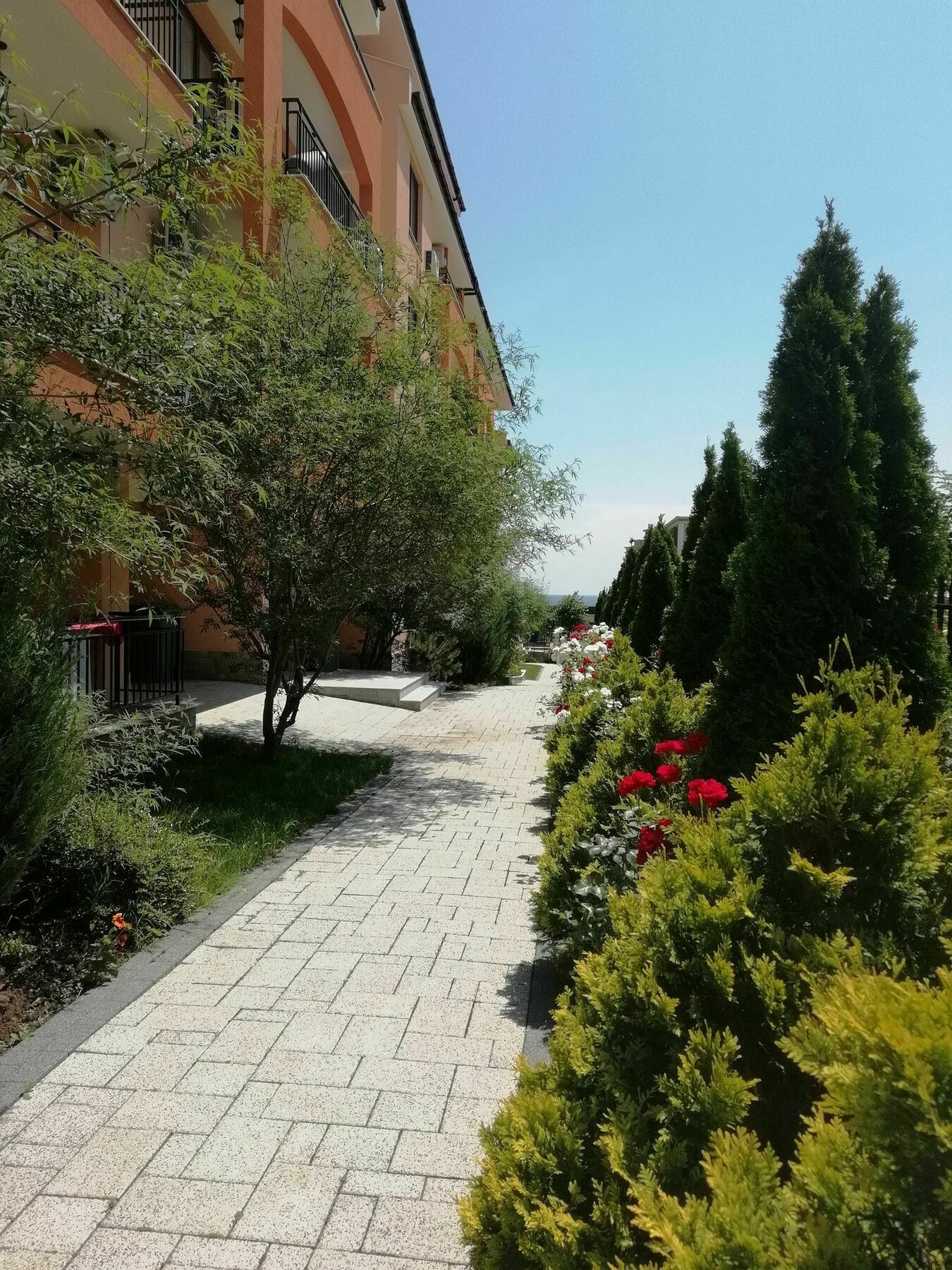 Stardreams Apartments Sveti Vlas Luaran gambar